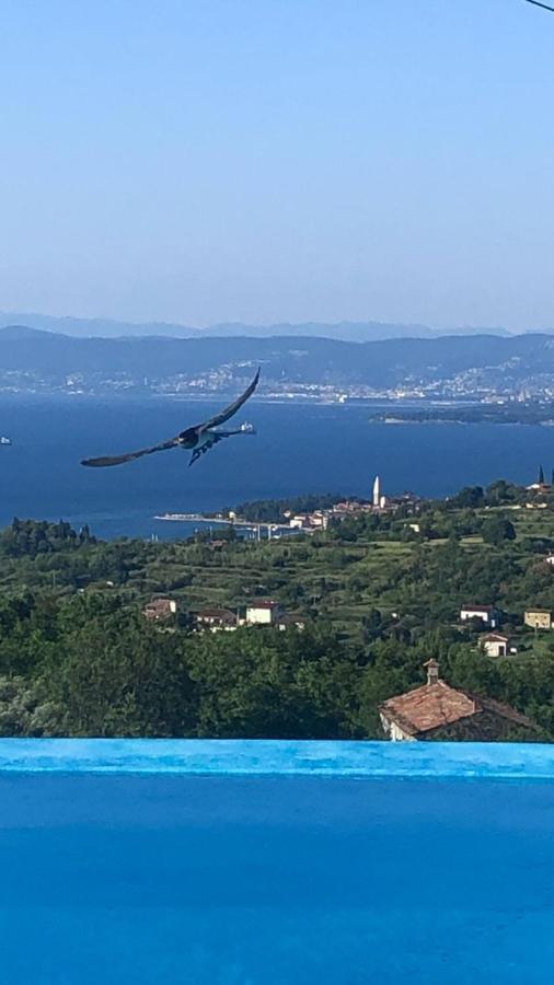 Apartmaji Meli Pu Izola Kültér fotó