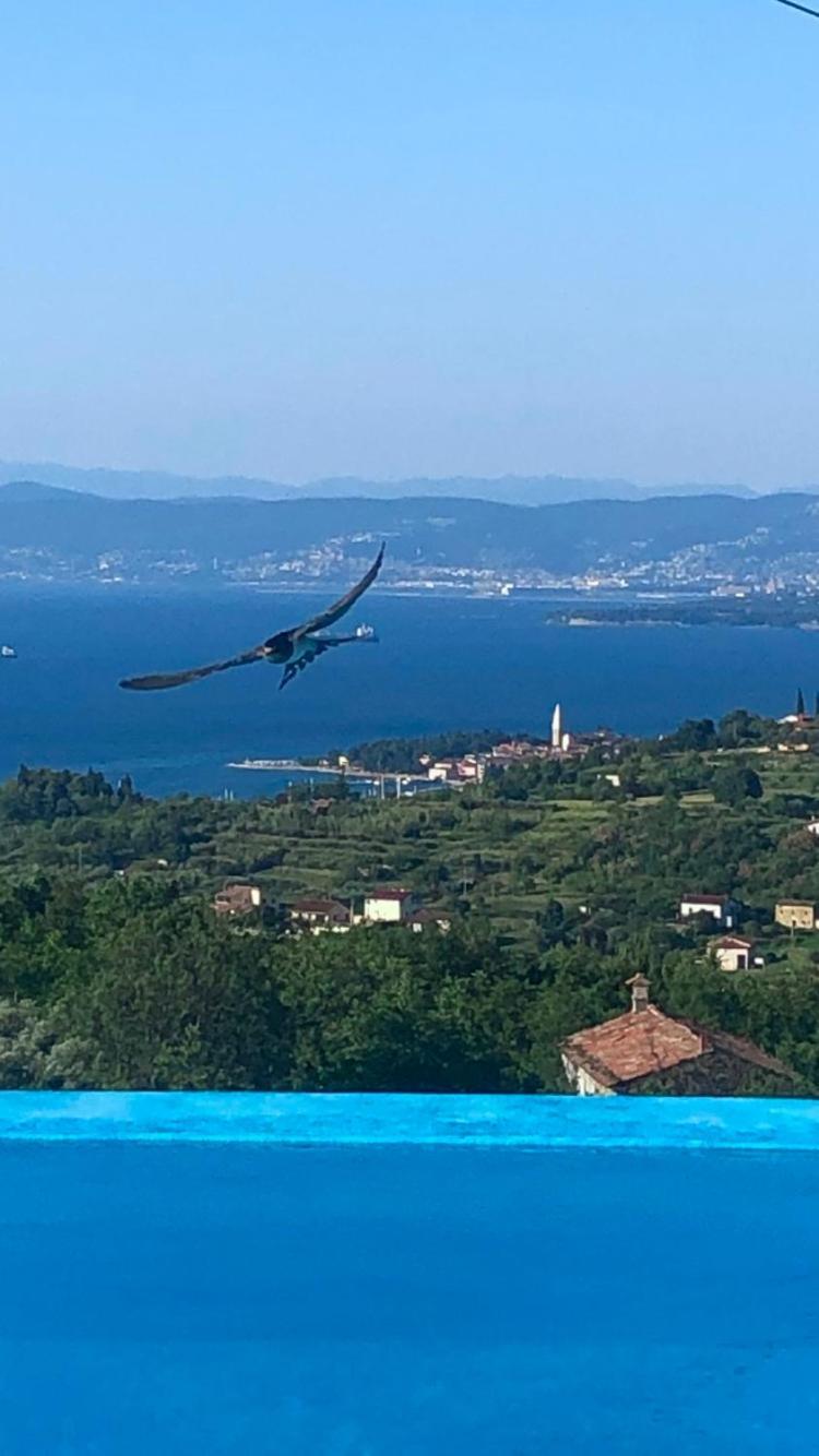 Apartmaji Meli Pu Izola Kültér fotó
